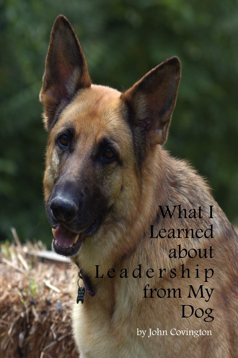 What I Learned About Leadership From My Dog,Used