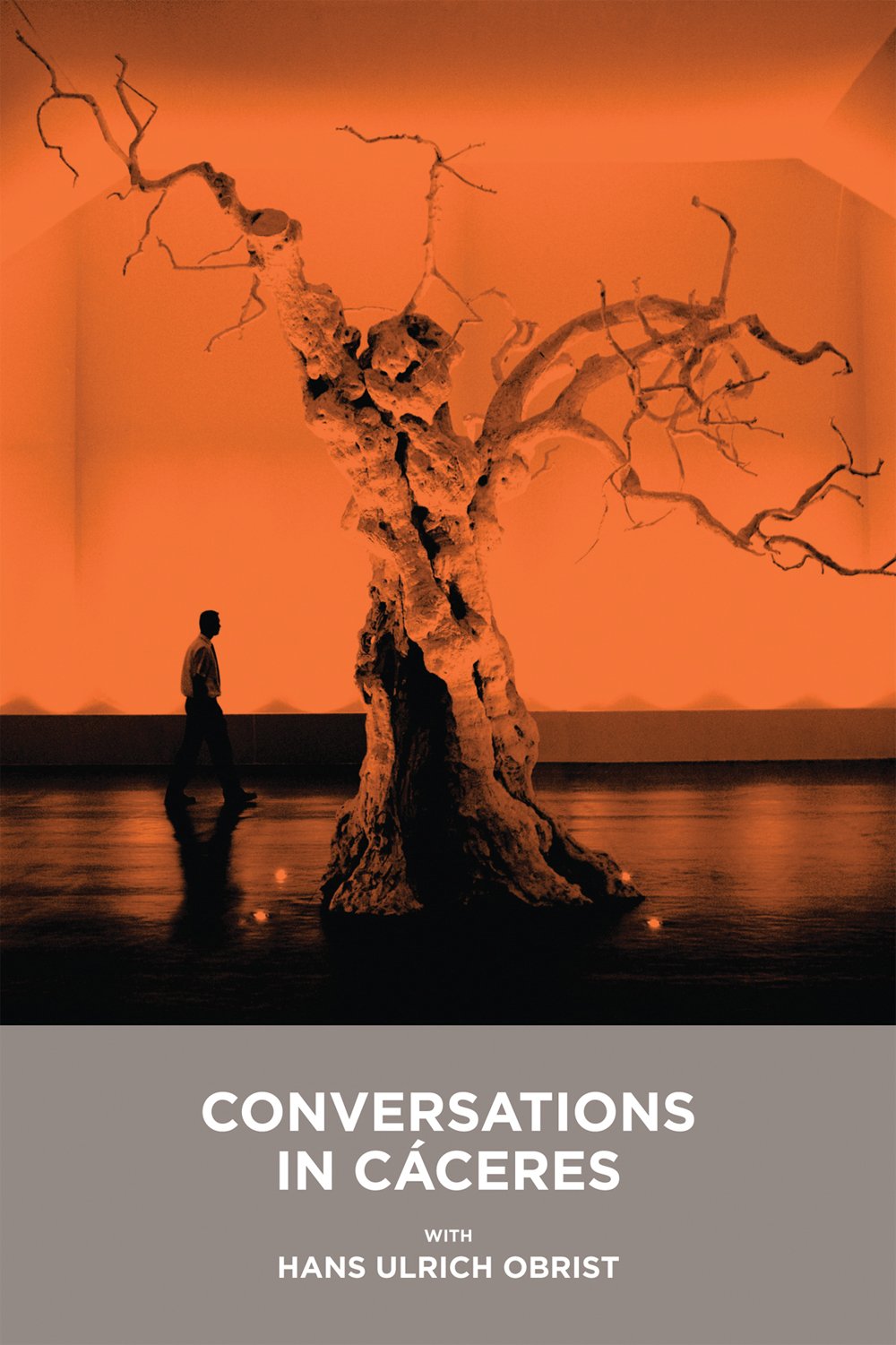 Conversations In Cceres With Hans Ulrich Obrist,Used