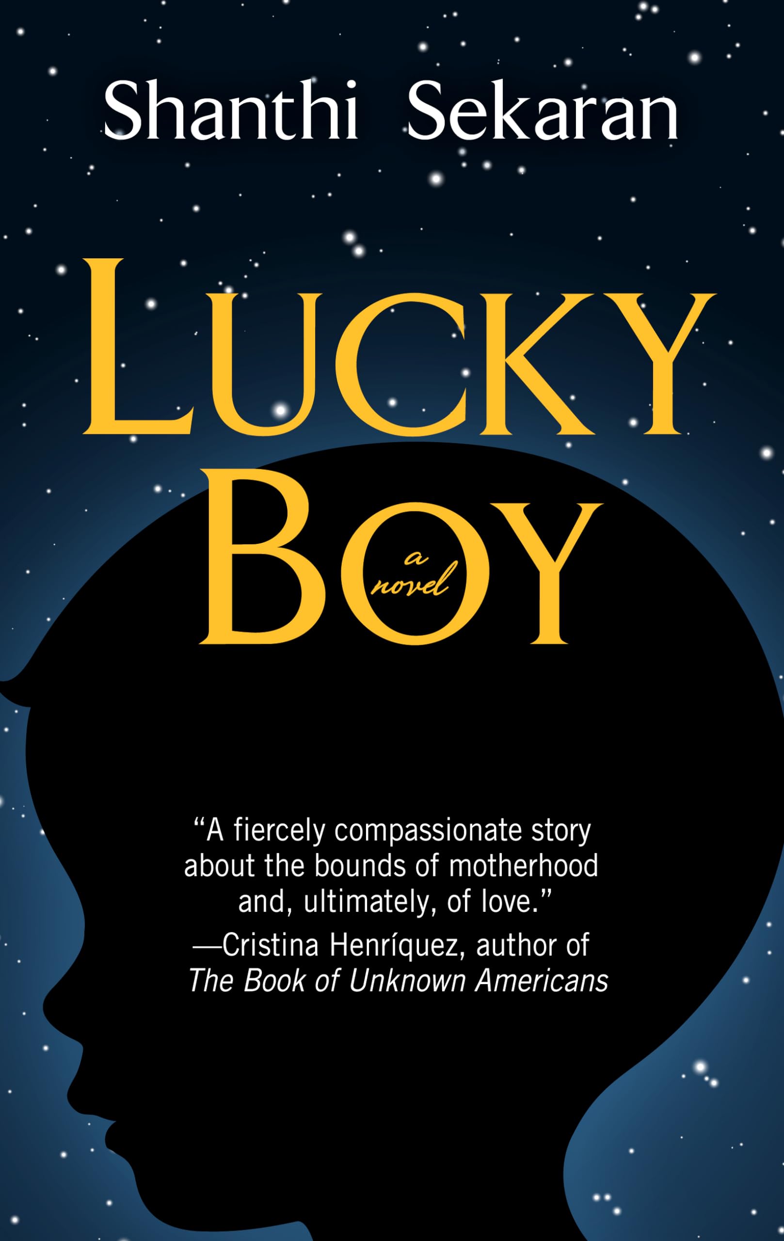 Lucky Boy (Thorndike Press Large Print Core),Used