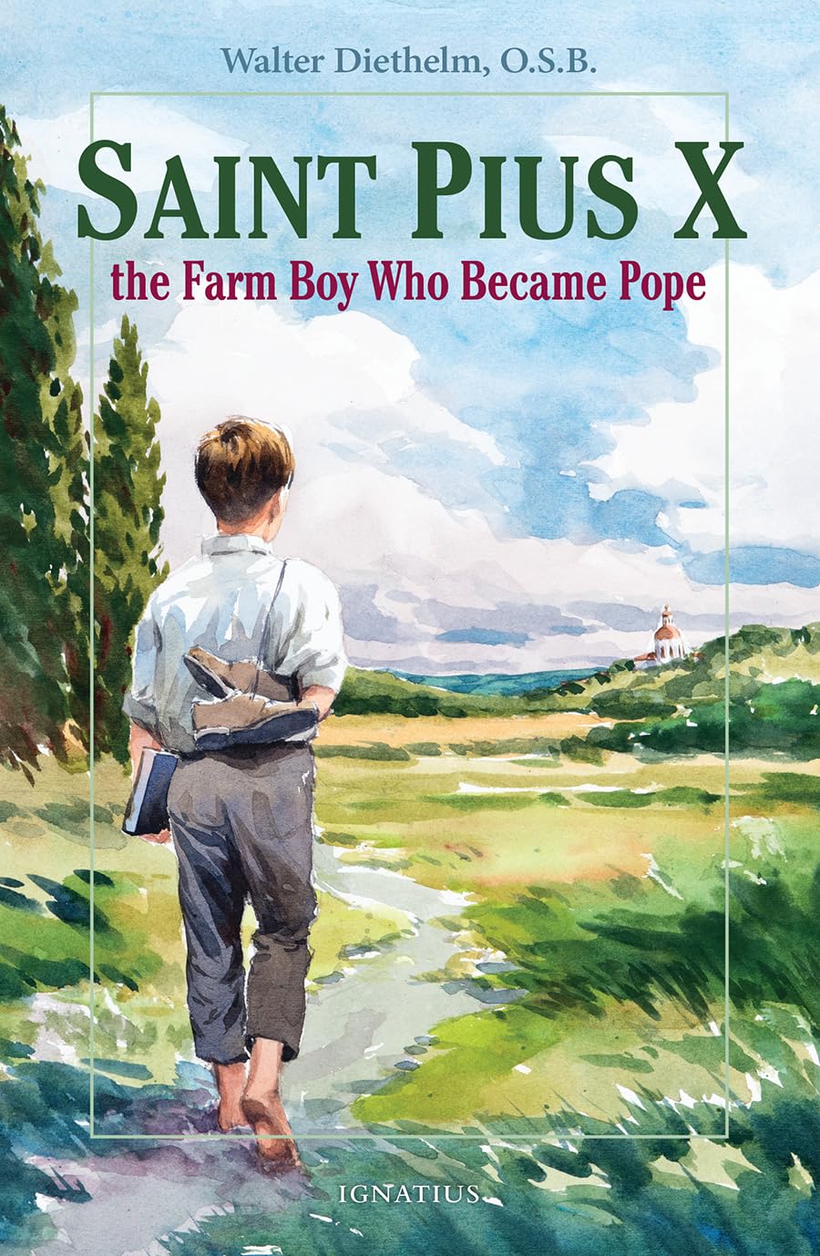 St. Pius X : The Farm Boy Who Became Pope,Used