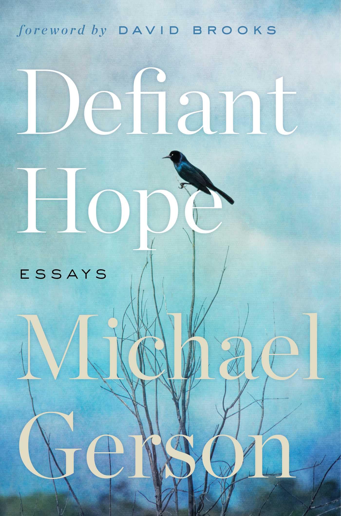 Defiant Hope: Essays on Life, Faith, and Freedom,New