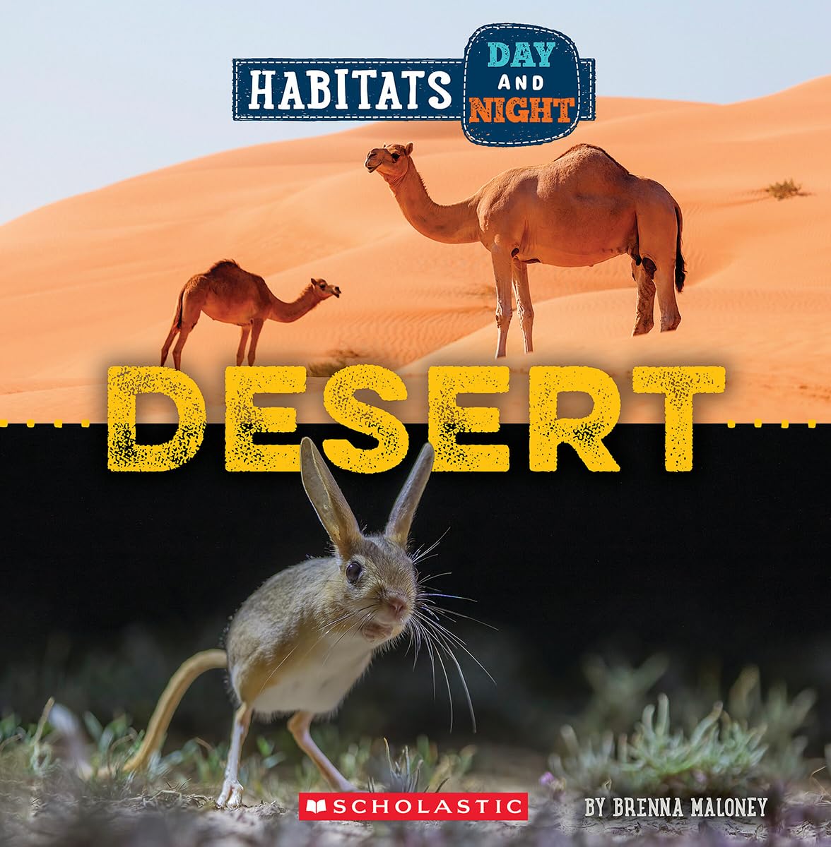Desert (Wild World: Habitats Day And Night),Used