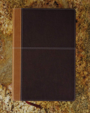 KJV, Amplified, Parallel Bible, Large Print, Leathersoft, Tan/Burgundy, Red Letter: Two Bible Versions Together for Study and Co,Used