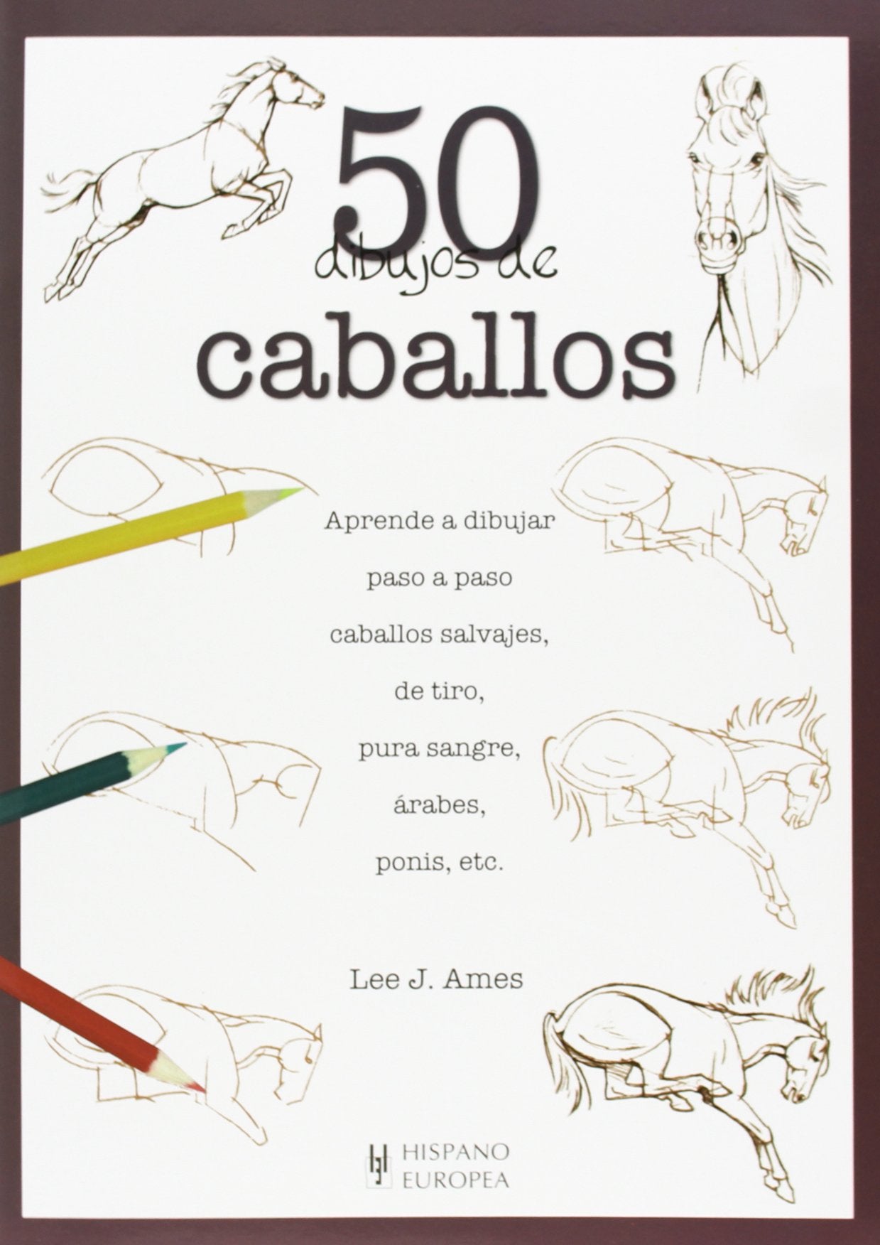 50 dibujos de caballos (50 Dibujos De/ Draw 50) (Spanish Edition),Used