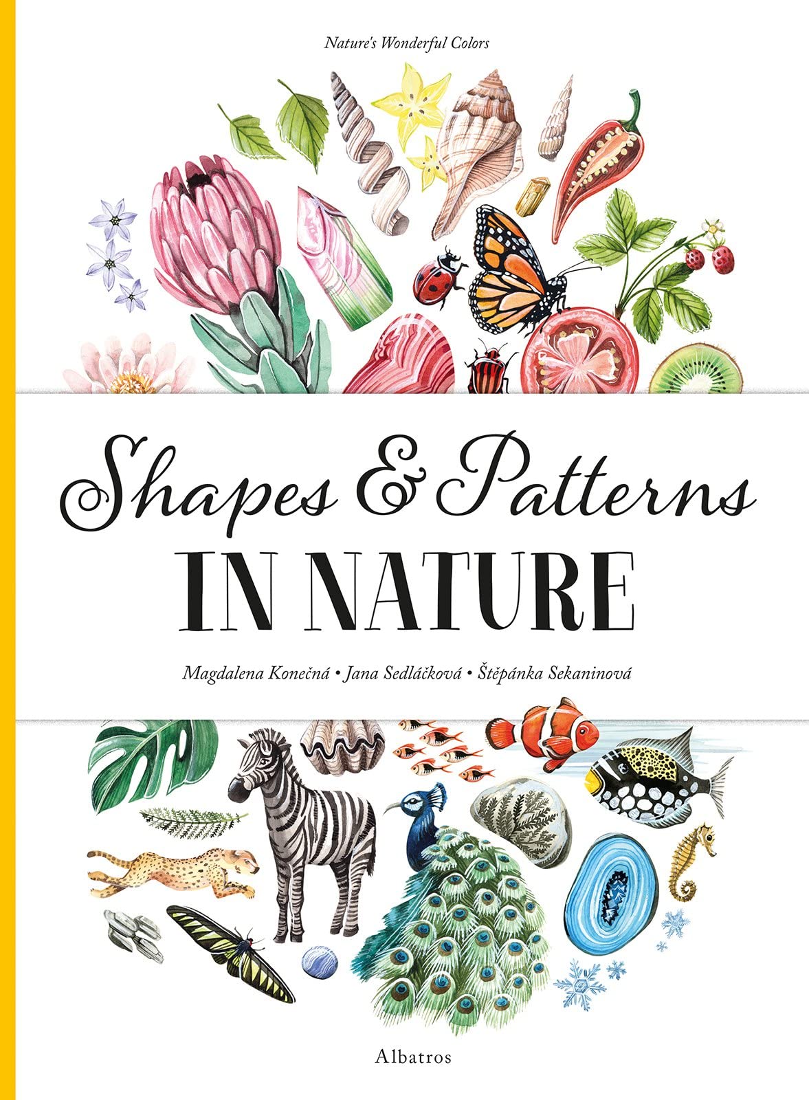 Shapes and Patterns in Nature (Nature's Wonderful Colors, 3),Used