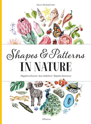 Shapes and Patterns in Nature (Nature's Wonderful Colors, 3),Used