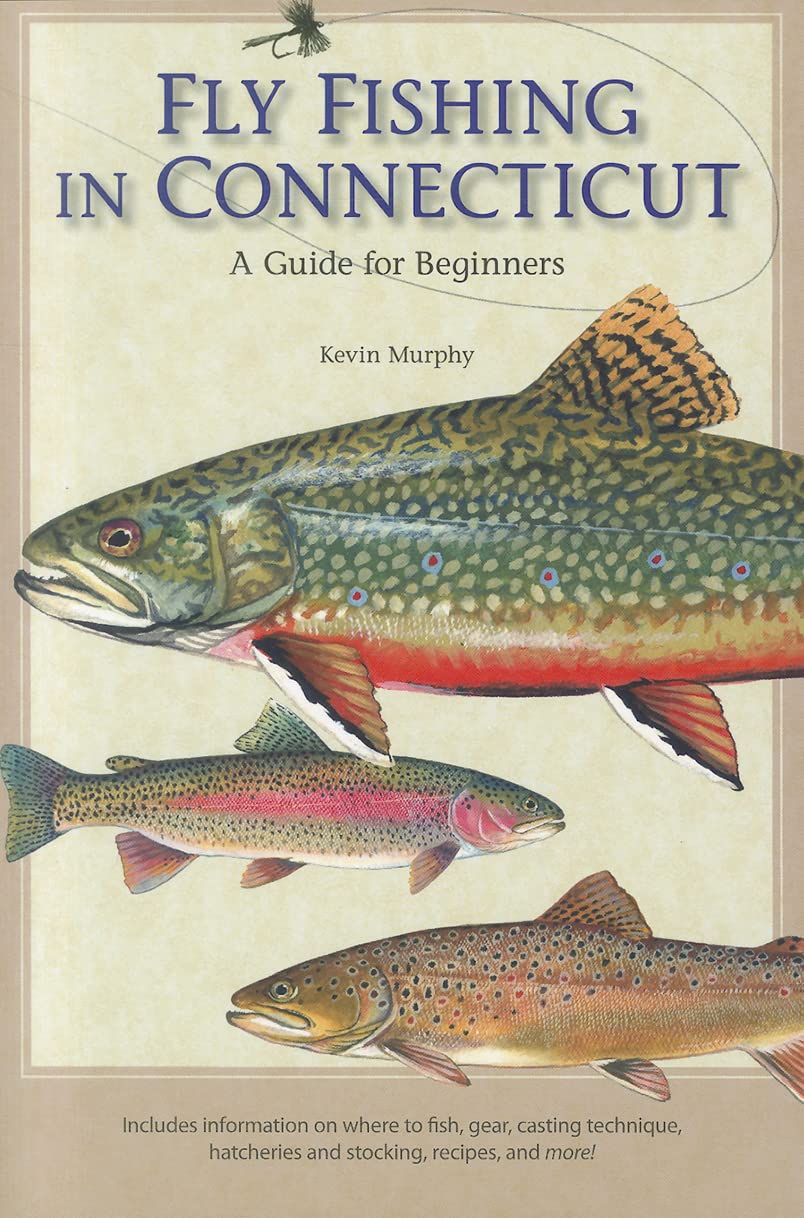 Fly Fishing In Connecticut: A Guide For Beginners (Garnet Books),New