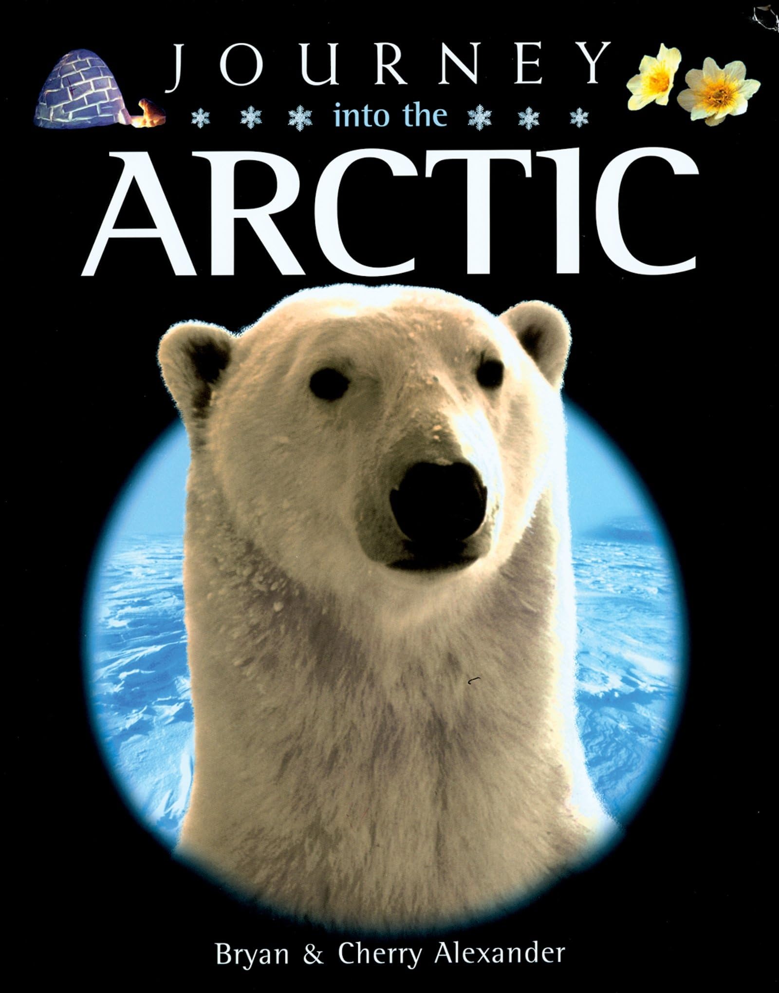 Journey into the Arctic,Used