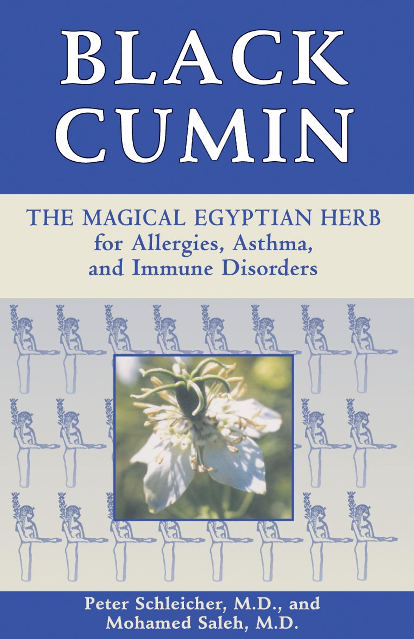Black Cumin: The Magical Egyptian Herb for Allergies, Asthma, Skin Conditions, and Immune Disorders,Used
