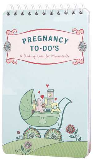 Pregnancy Todo'S: A Book Of Lists For Momstobe