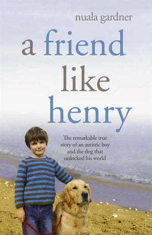 A Friend Like Henry,Used