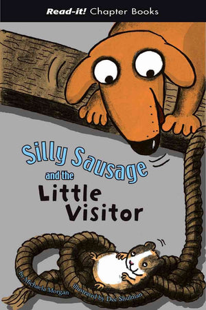 Silly Sausage And the Little Visitor (ReadIt! Chapter Books),Used