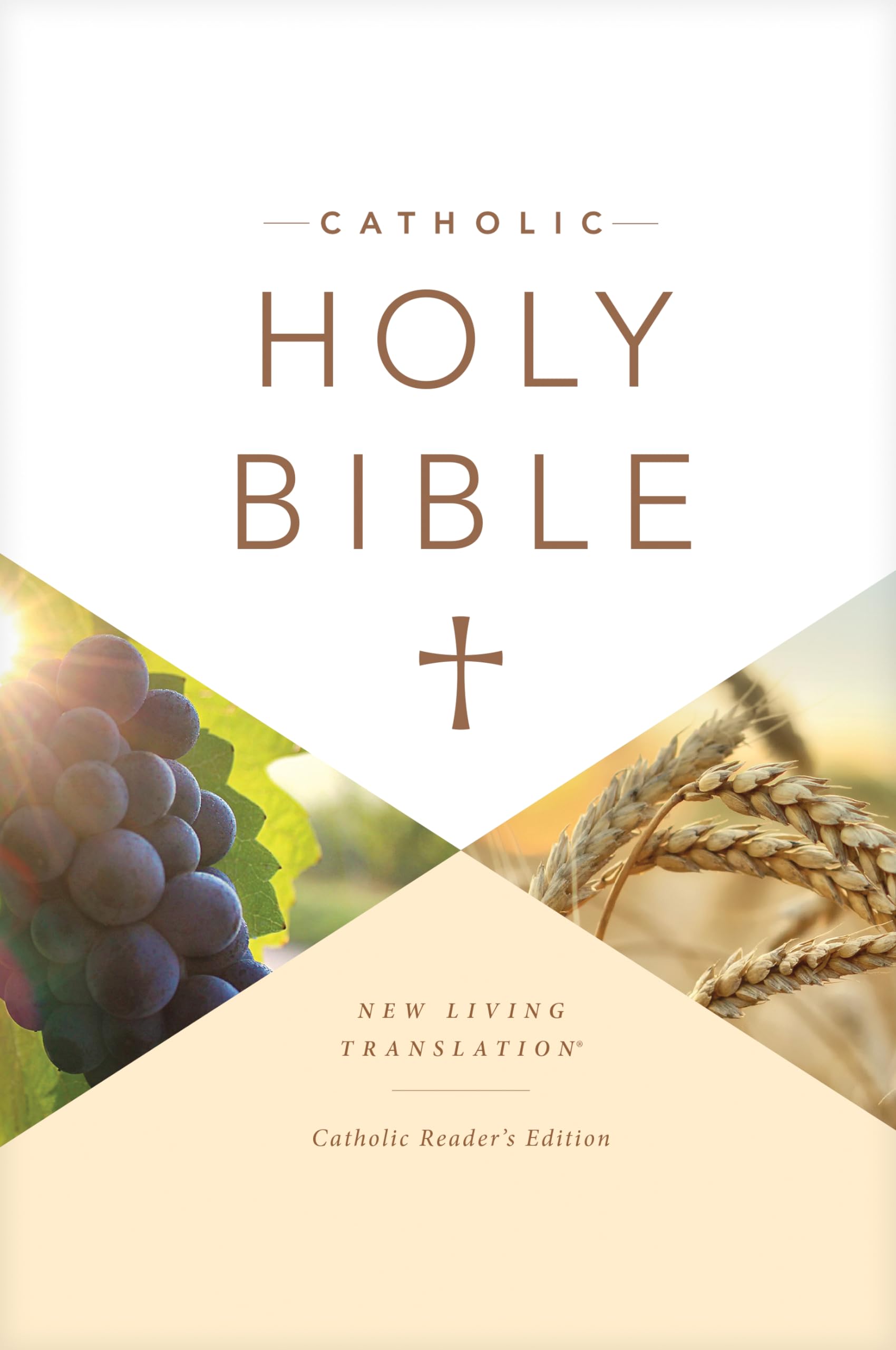 Catholic Holy Bible Reader's Edition (Hardcover),Used