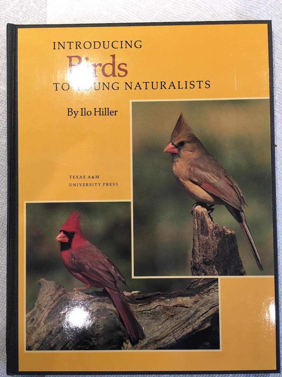Introducing Birds to Young Naturalists: From Texas Parks and Wildlife Magazine (LOUISE LINDSEY MERRICK NATURAL ENVIRONMENT SERIE,Used