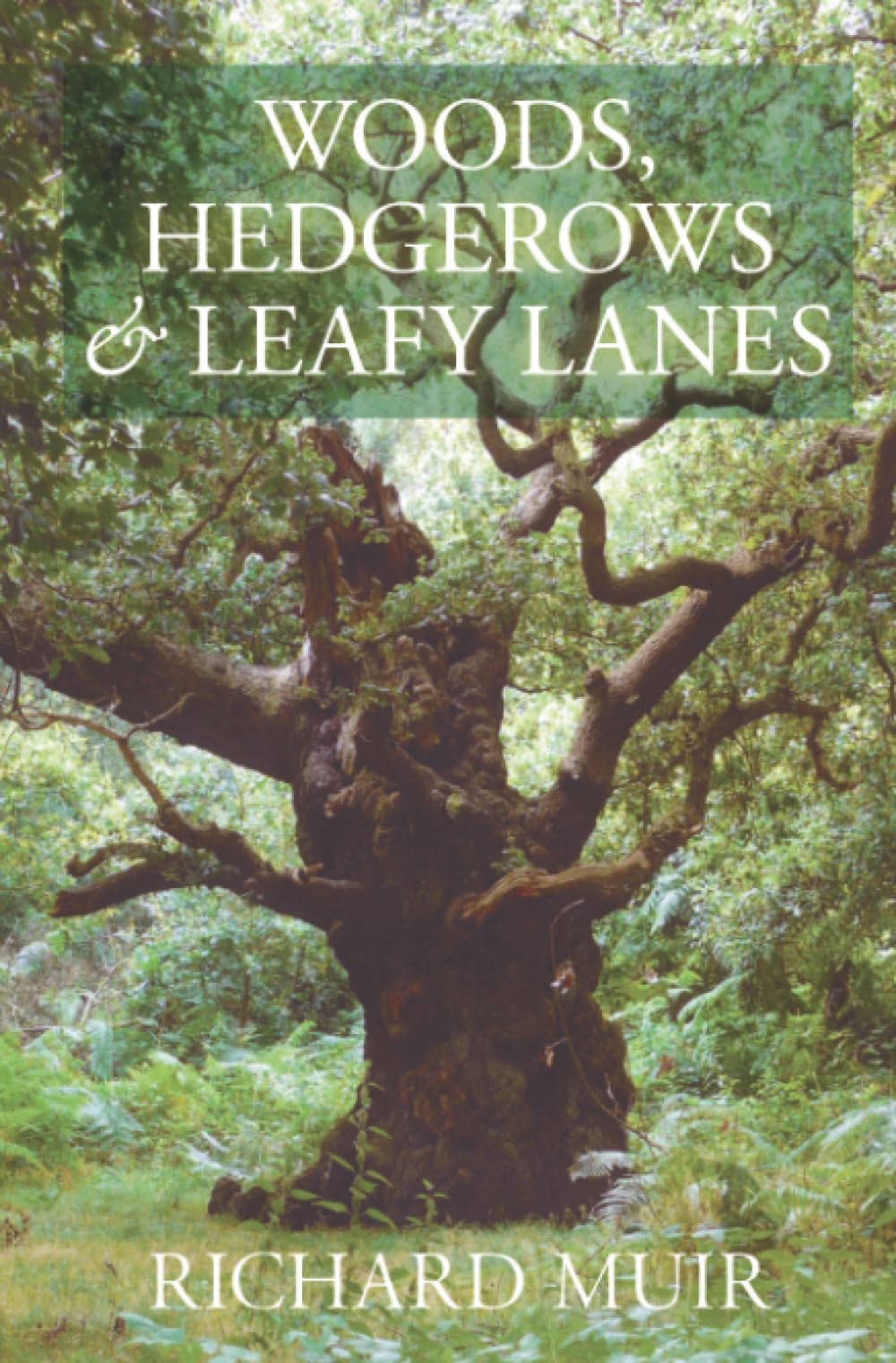 Woods, Hedgerows & Leafy Lanes,Used