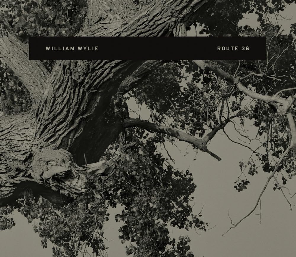 Route 36 (Flood Editions)-used