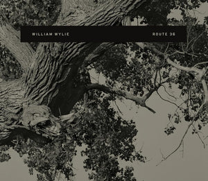 Route 36 (Flood Editions)-used