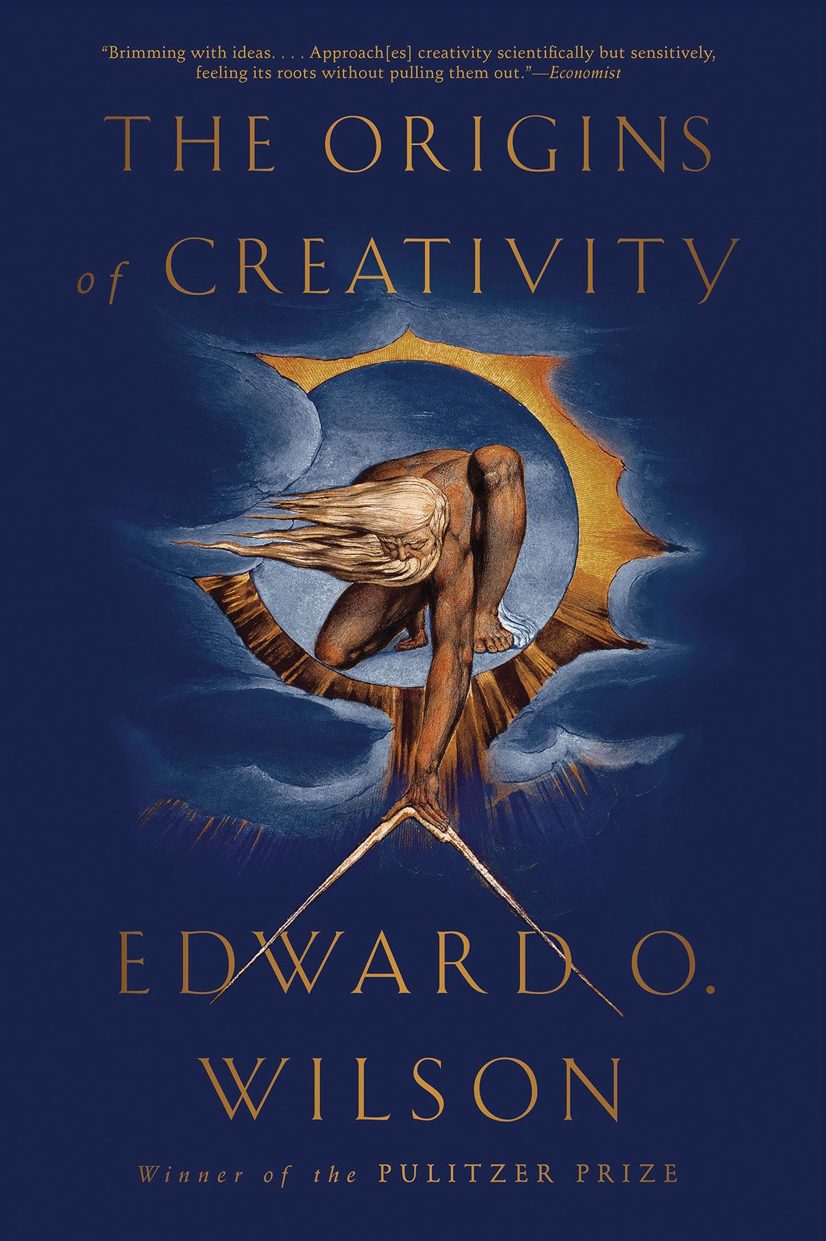 The Origins of Creativity,Used