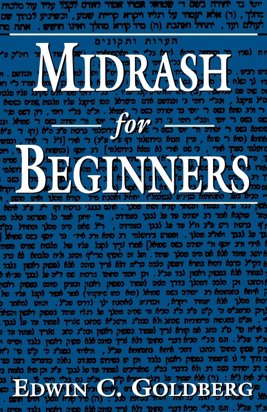 Midrash for Beginners,Used