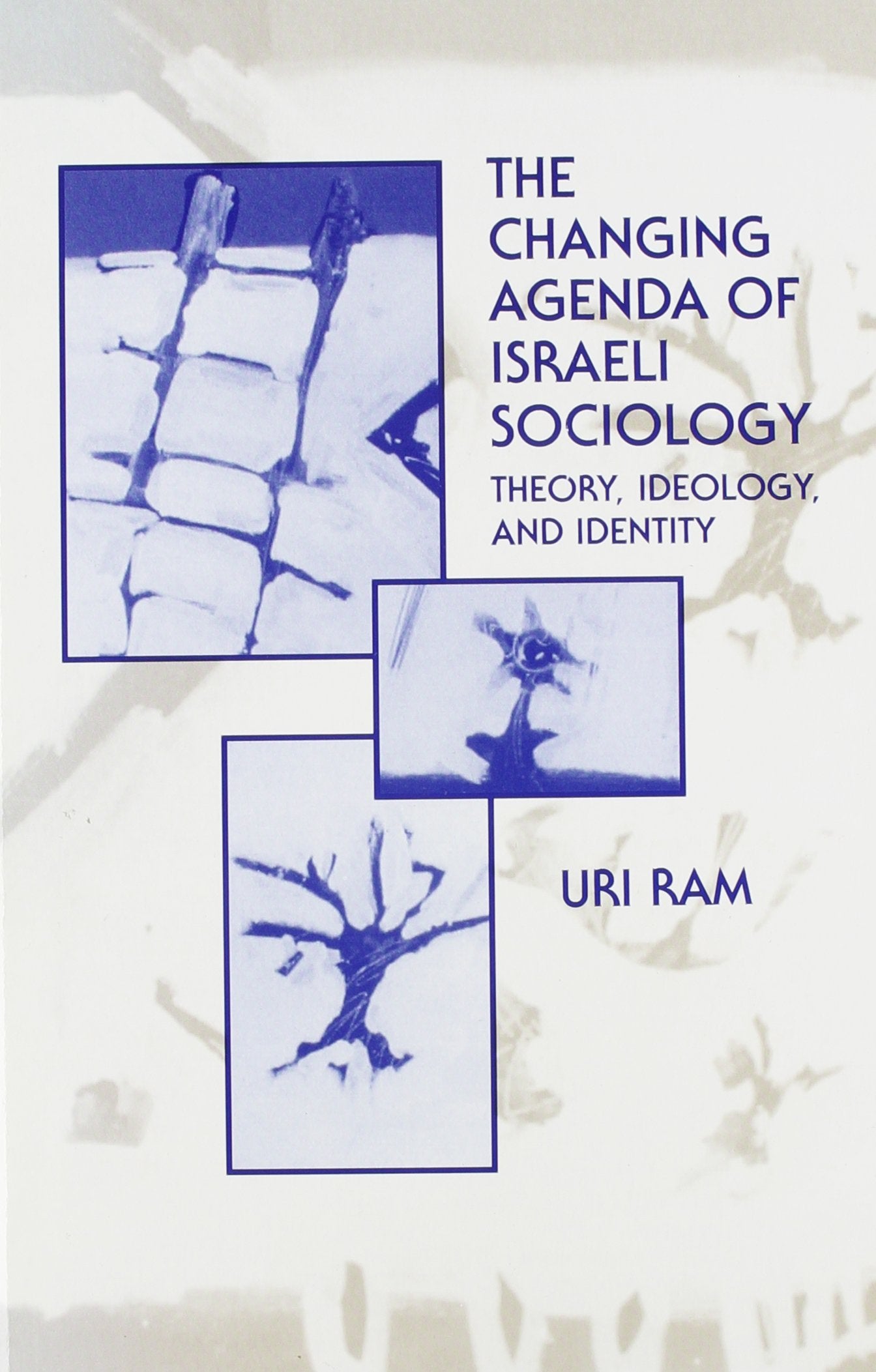The Changing Agenda of Israeli Sociology: Theory, Ideology, and Identity (Suny Series in Israeli Studies),Used