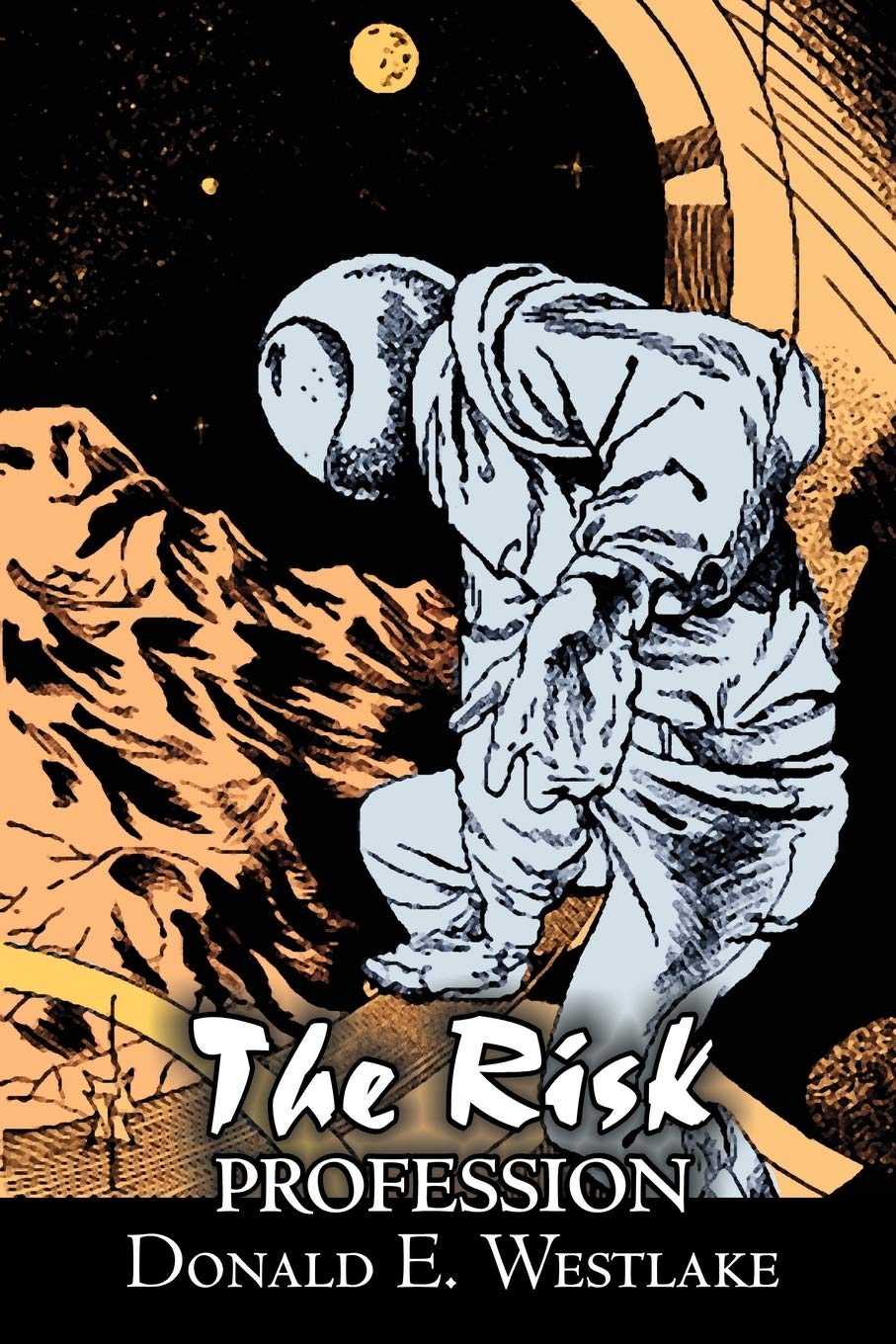 The Risk Profession,Used