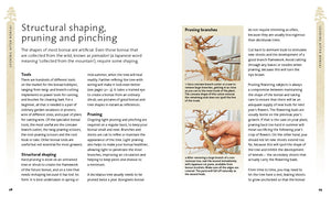 The Bonsai Beginner'S Bible-used