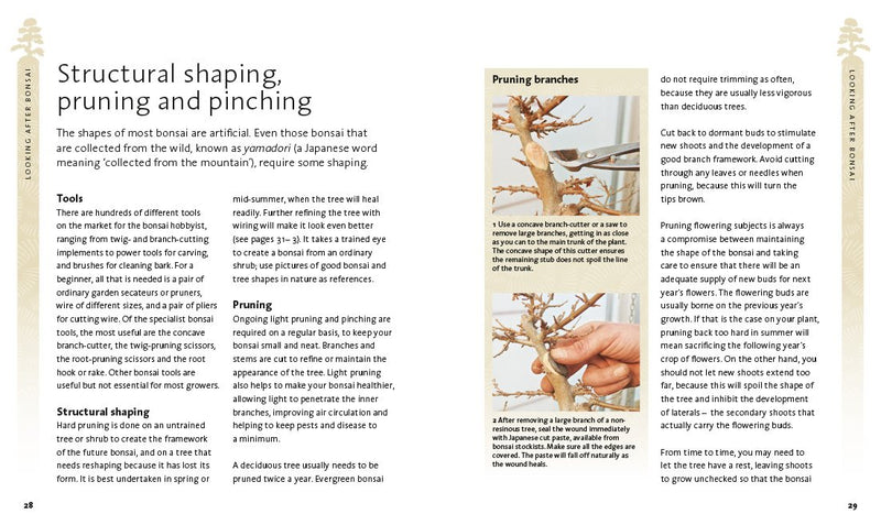 The Bonsai Beginner'S Bible-used