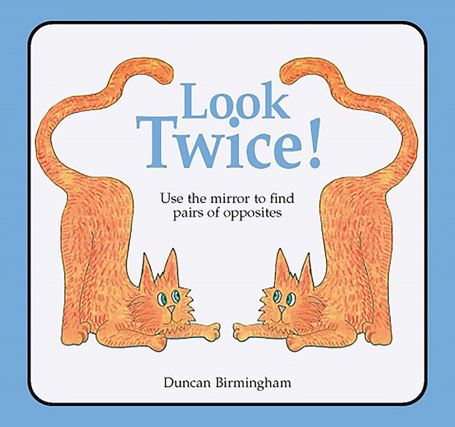 Look Twice: Use the Mirror to Find Pairs of Opposites,Used