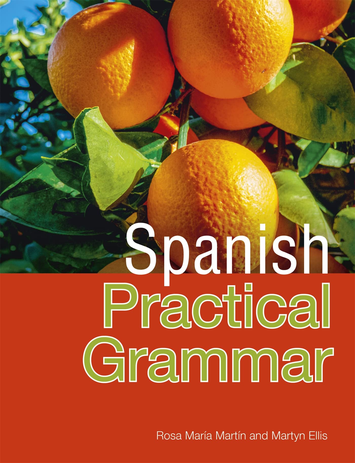 Spanish Practical Grammar (All That Matters),Used