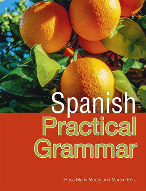 Spanish Practical Grammar (All That Matters),Used
