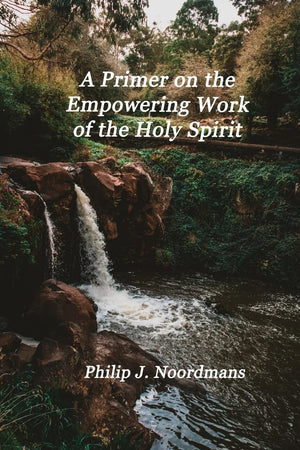 A Primer on the Empowering Work of the Holy Spirit: You May Be Charismatic,Used