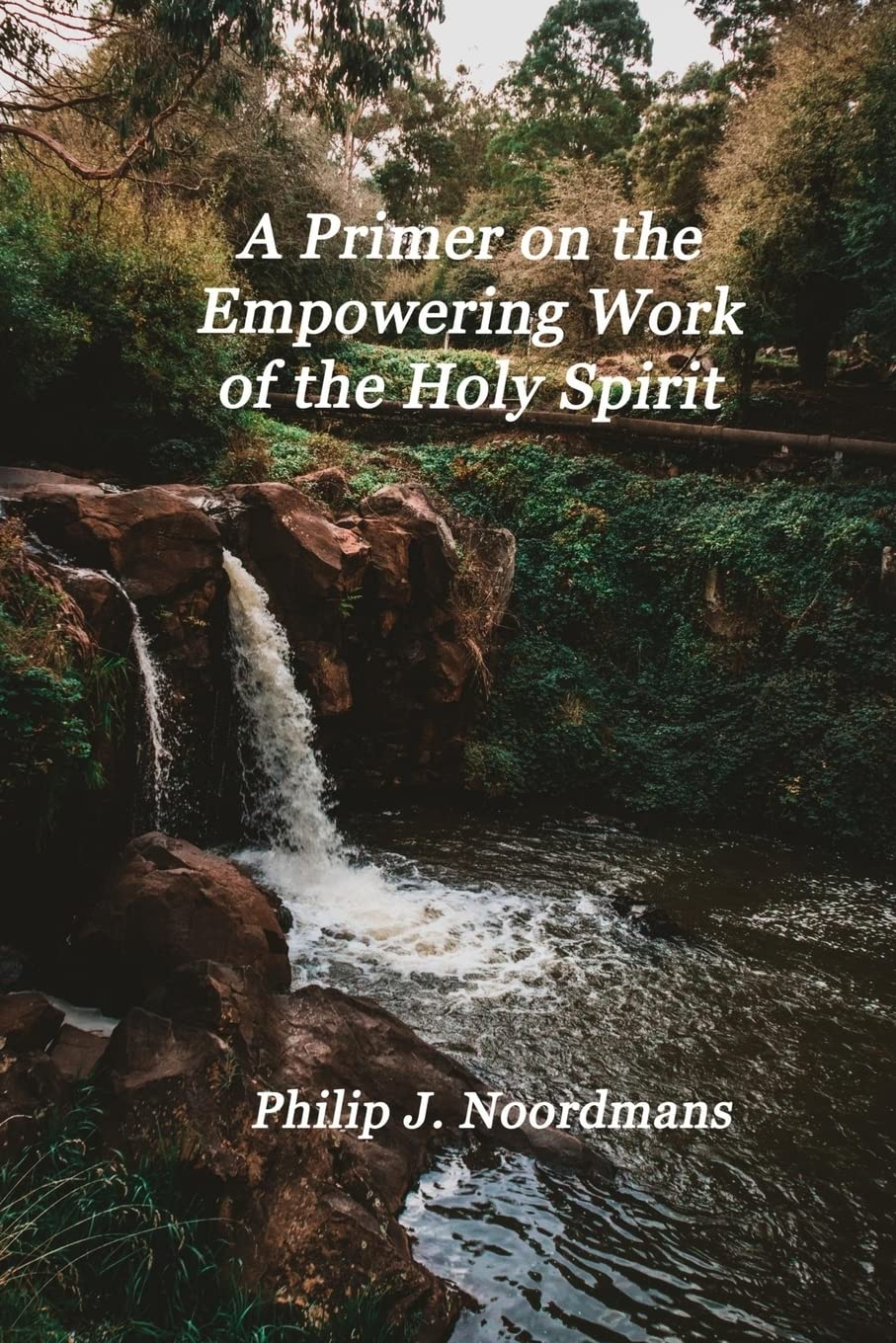 A Primer on the Empowering Work of the Holy Spirit: You May Be Charismatic,Used