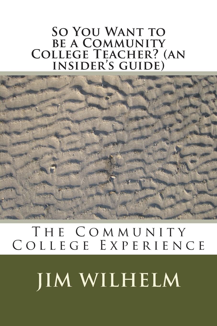 So You Want to be a Community College Teacher? (an insider's guide): The Community College Teaching Experience,Used