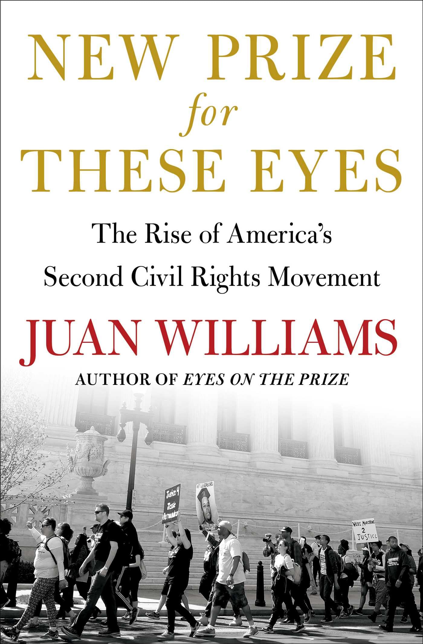 New Prize For These Eyes: The Rise Of AmericaS Second Civil Rights Movement
