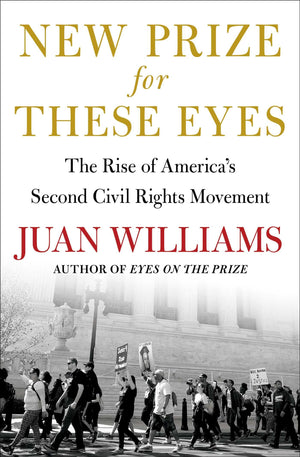 New Prize For These Eyes: The Rise Of AmericaS Second Civil Rights Movement