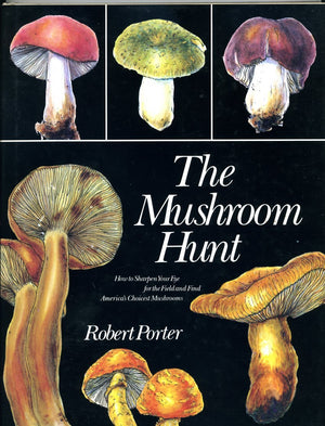 Mushroom Hunt,Used