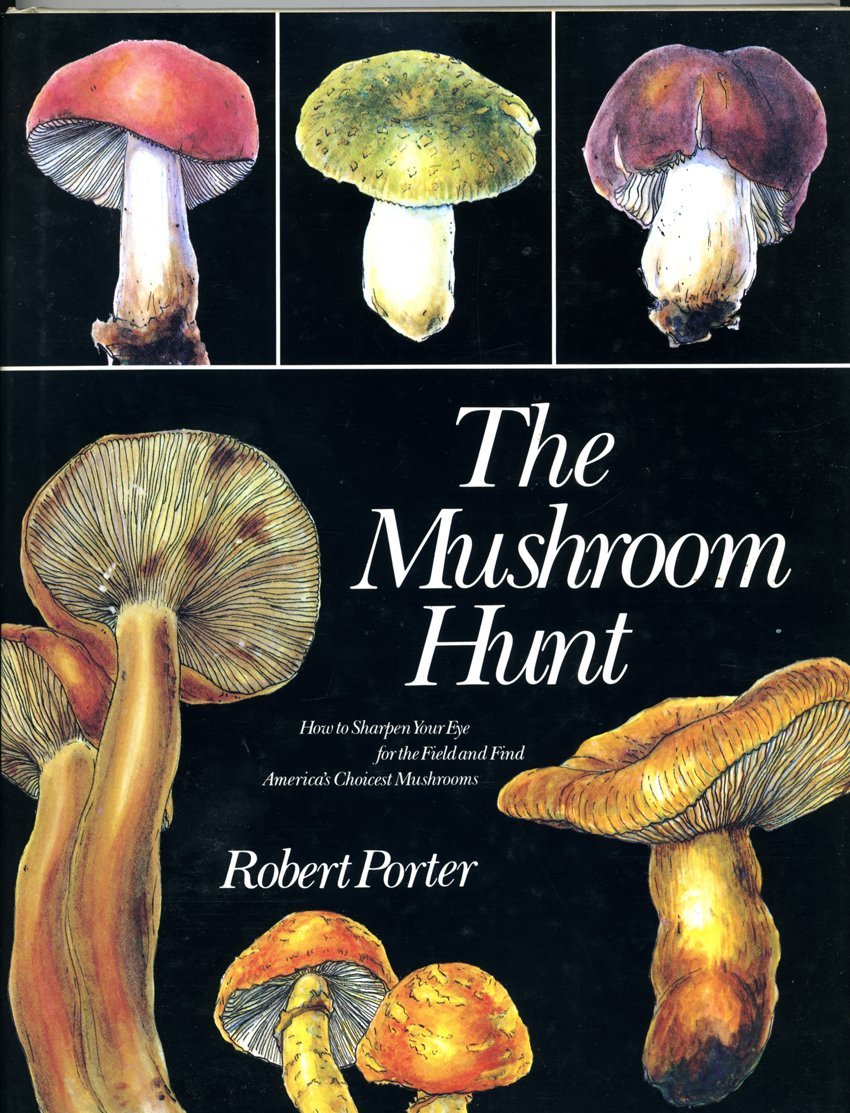Mushroom Hunt,Used