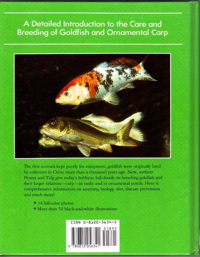 Goldfish And Ornamental Carp