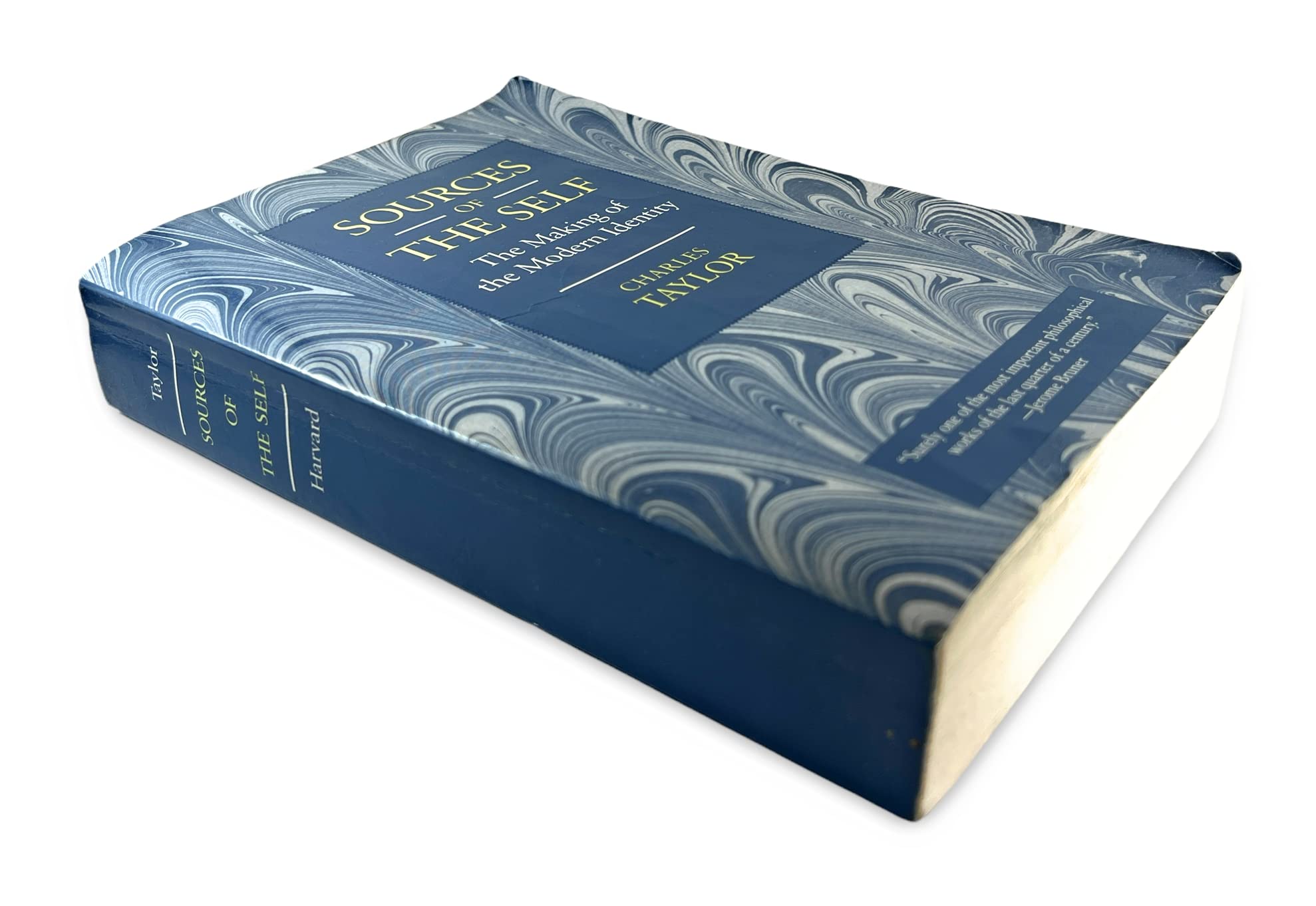 Sources Of The Self: The Making Of The Modern Identity,New