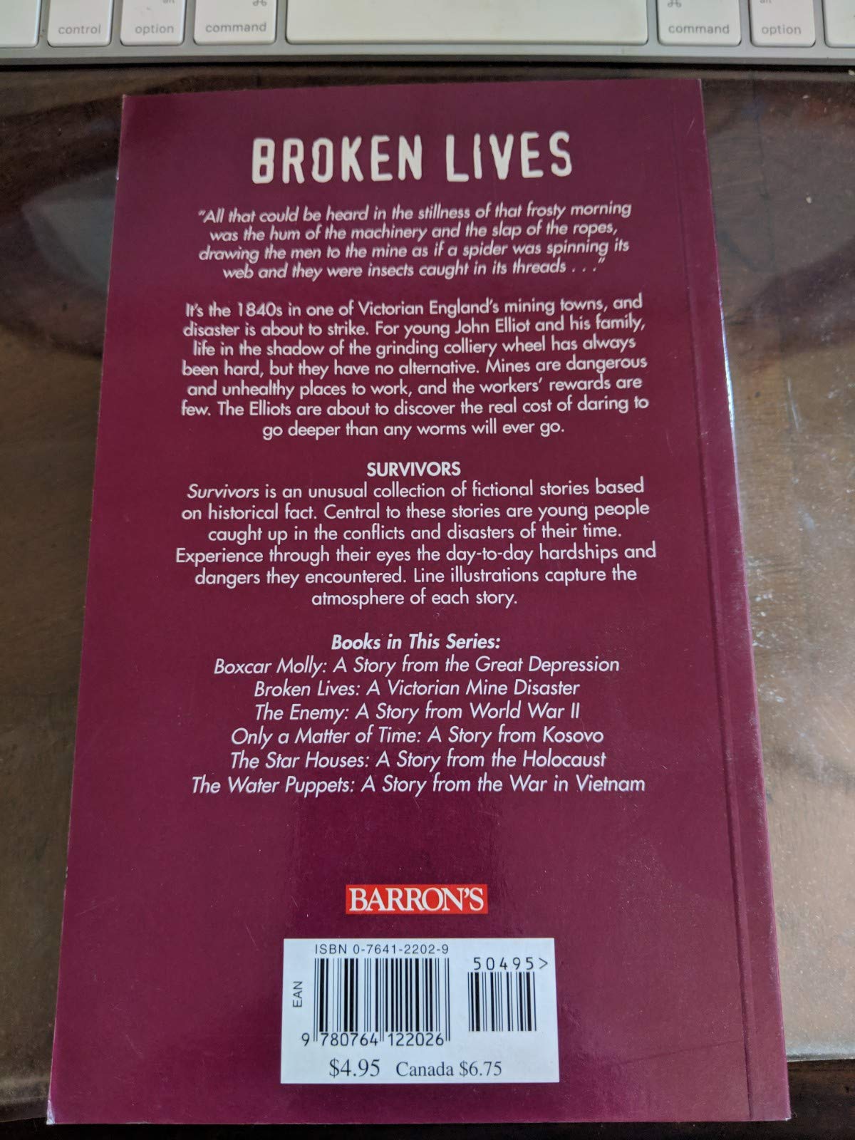 Broken Lives: A Victorian Mine Disaster (Survivors),Used