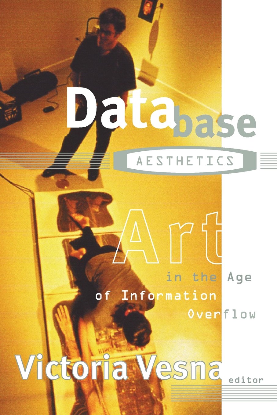 Database Aesthetics: Art in the Age of Information Overflow (Volume 20) (Electronic Mediations),Used