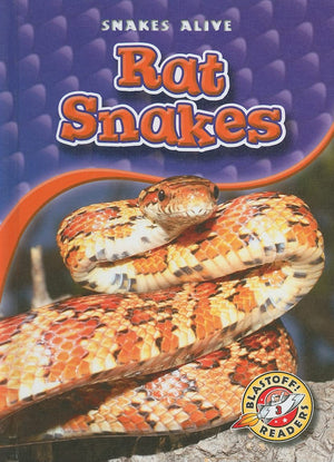 Rat Snakes (Blastoff! Readers: Snakes Alive),Used