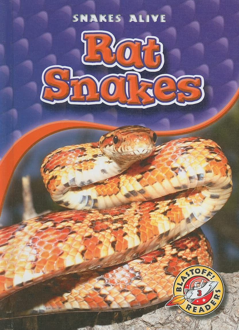 Rat Snakes (Blastoff! Readers: Snakes Alive),Used
