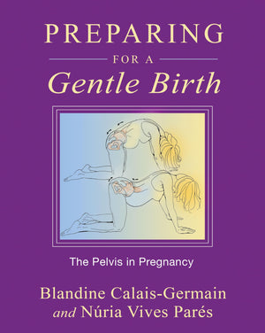 Preparing for a Gentle Birth: The Pelvis in Pregnancy,New