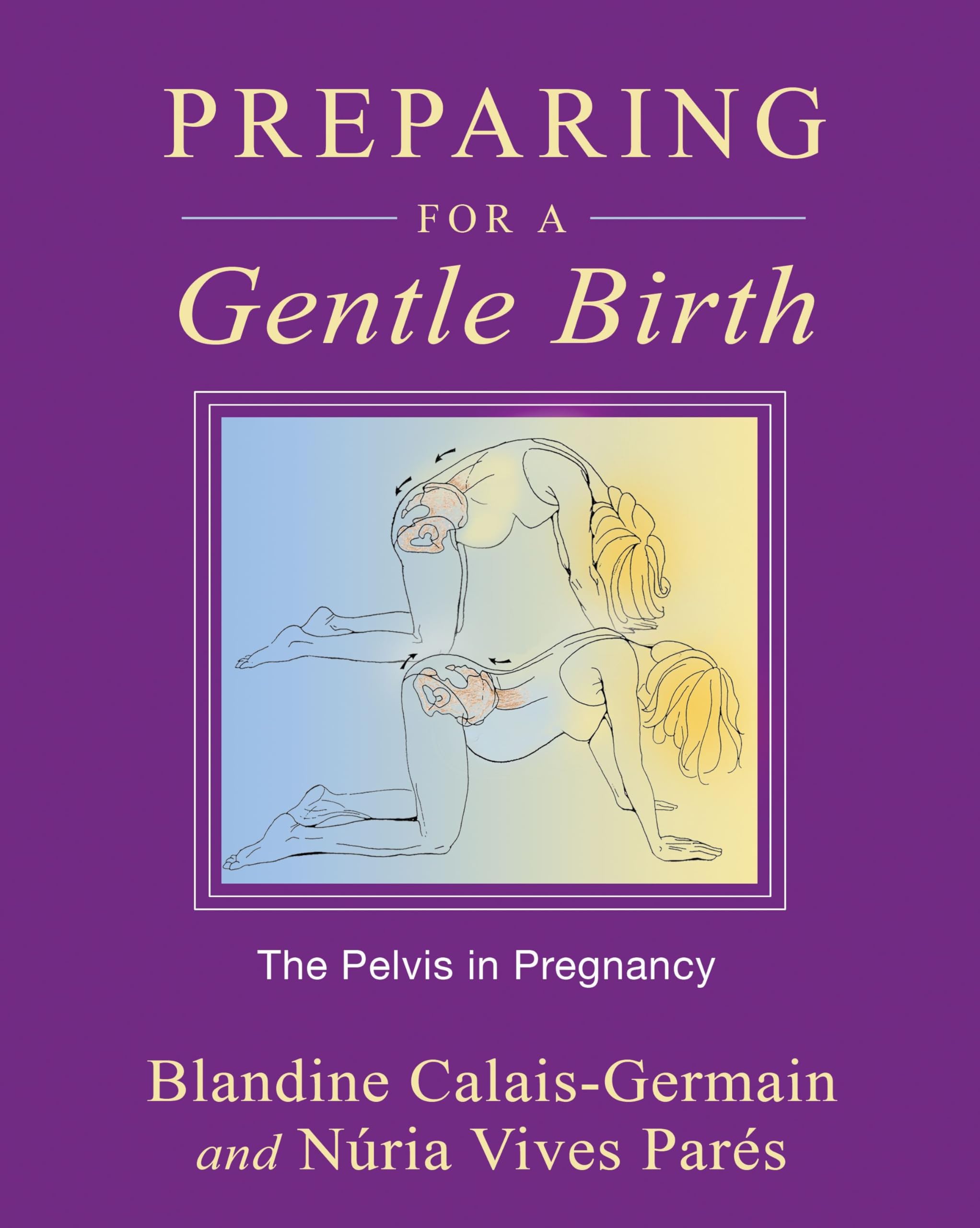Preparing for a Gentle Birth: The Pelvis in Pregnancy,Used