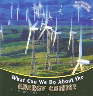 What Can We Do About the Energy Crisis? (Protecting Our Planet),New