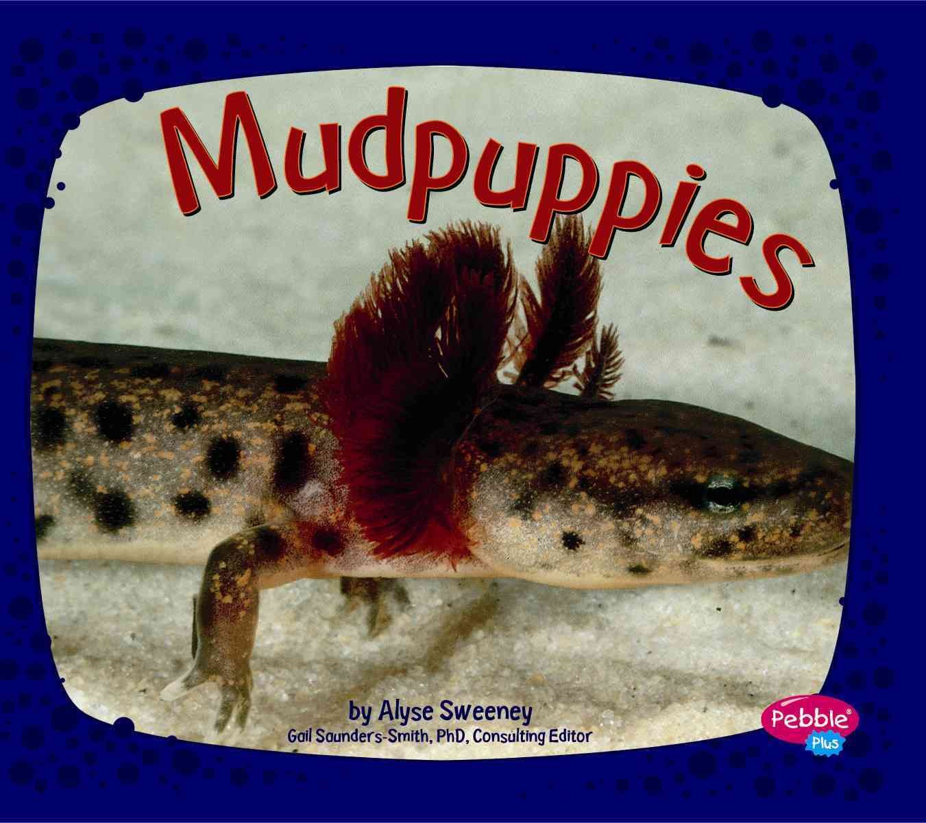 Mudpuppies (Pebble Plus. Amphibians),Used