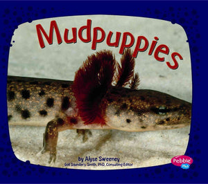 Mudpuppies (Pebble Plus. Amphibians),Used