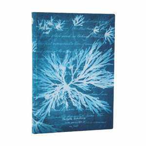 Sea Flowers Midi Lined Softcover Journal, 176Pg, 100Gsm, Treasures Of The New York Public Library By Paperblanks (Anna Atkins