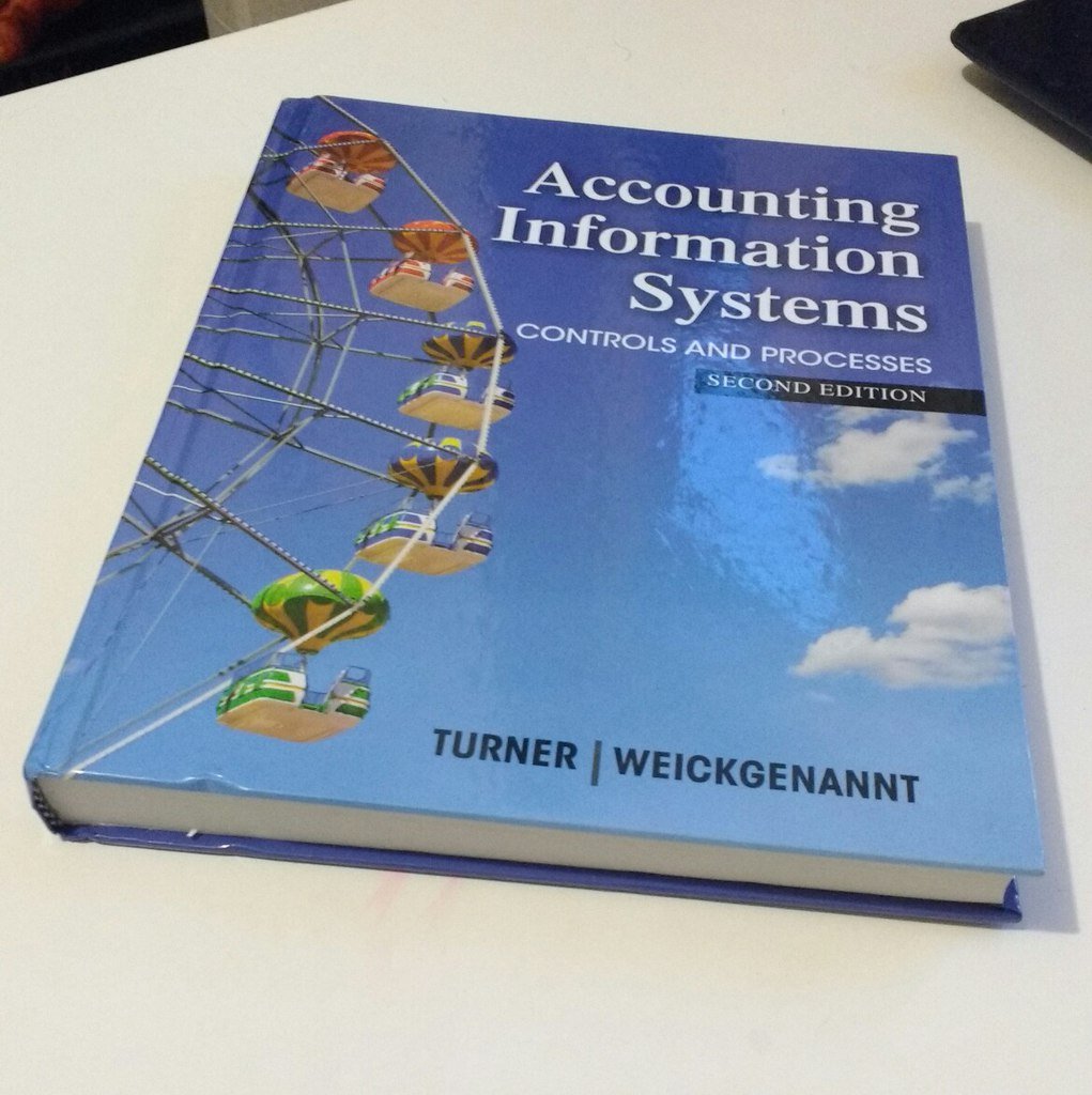 Accounting Information Systems: The Processes and Controls,Used